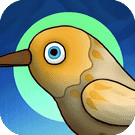 宇宙怪谈-免广告 - 抖音免广告小游戏 - wuguangyou.com